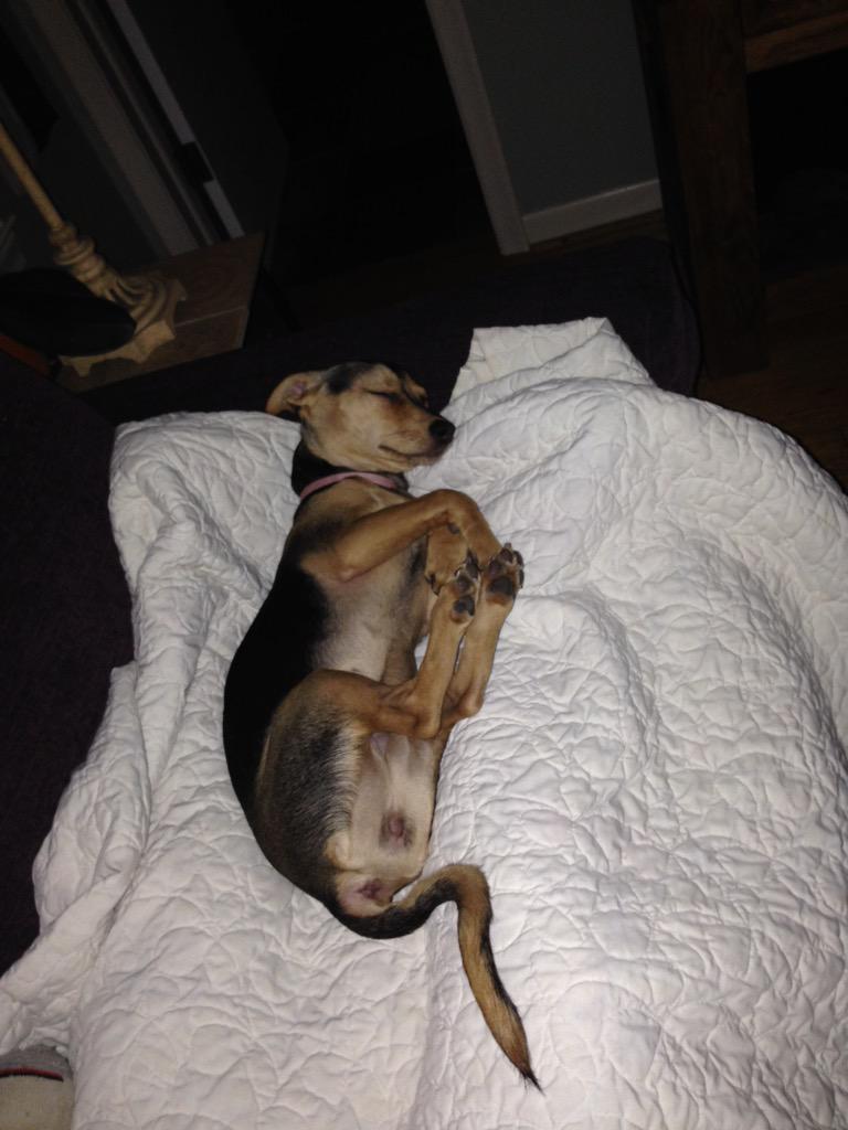 Taking a snooze on a Drizzly morning