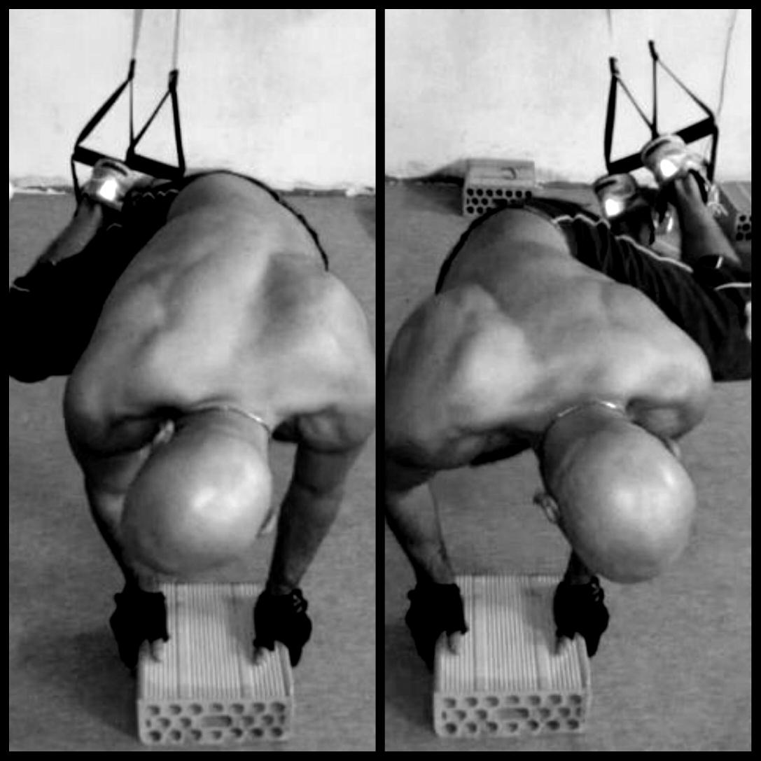 #TRX #trxtraining #abdominal #workout #abdominaloblique #fit #fitness #