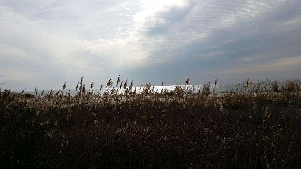 lambext tweet picture