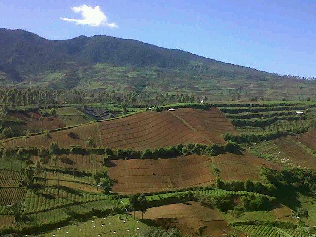 BadaiAlex's tweet photo. Pangalengan http://t.co/fQSnOPRkPM