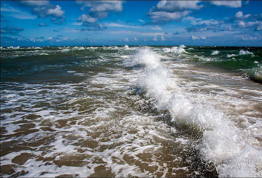 ресторане, ресторане, слияние северного и балтийского моря фото есть человек, который