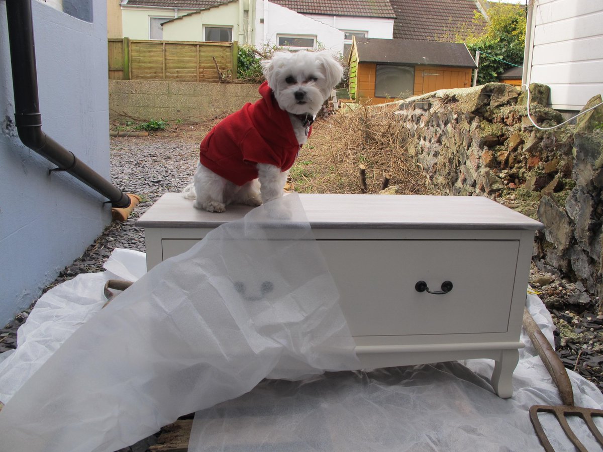 maxinebrady_'s tweet photo. #pimpmyfrench Step !: Neon colours + Poms Poms + Small fluffy dog @PlastiKoteUK @rcreationsuk @otint ] http://t.co/OZDwEllvf4