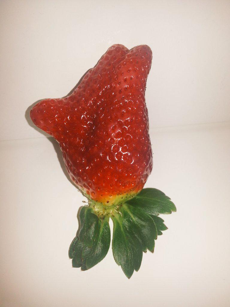 VanManBrighton's tweet photo. Mr strawberry. http://t.co/c5Y20lU6q5