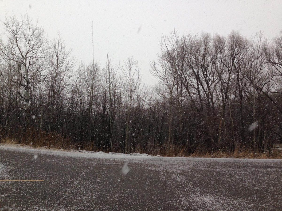 wdiowirt's tweet image. Big flakes for your March 19th morning. Check out the Interactive Radar on the WDIO mobile app. #MNSpring