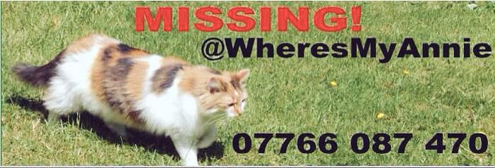 michell57319641's tweet photo. @FindOurPup @FindTopesy @WheresMyAnnie @FindShadow #AllStillMissing #SomeoneKnowsSomething #DoTheDecentThing http://t.co/mfPXwxTcBQ