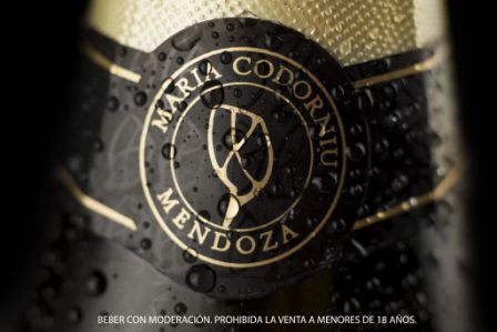 MariaCodorniu's tweet photo. #MariaCodorniu, espumoso lleno de detalles y sutilezas. #Wine #Vino #Sparkiling http://t.co/8iFJXpCiB4