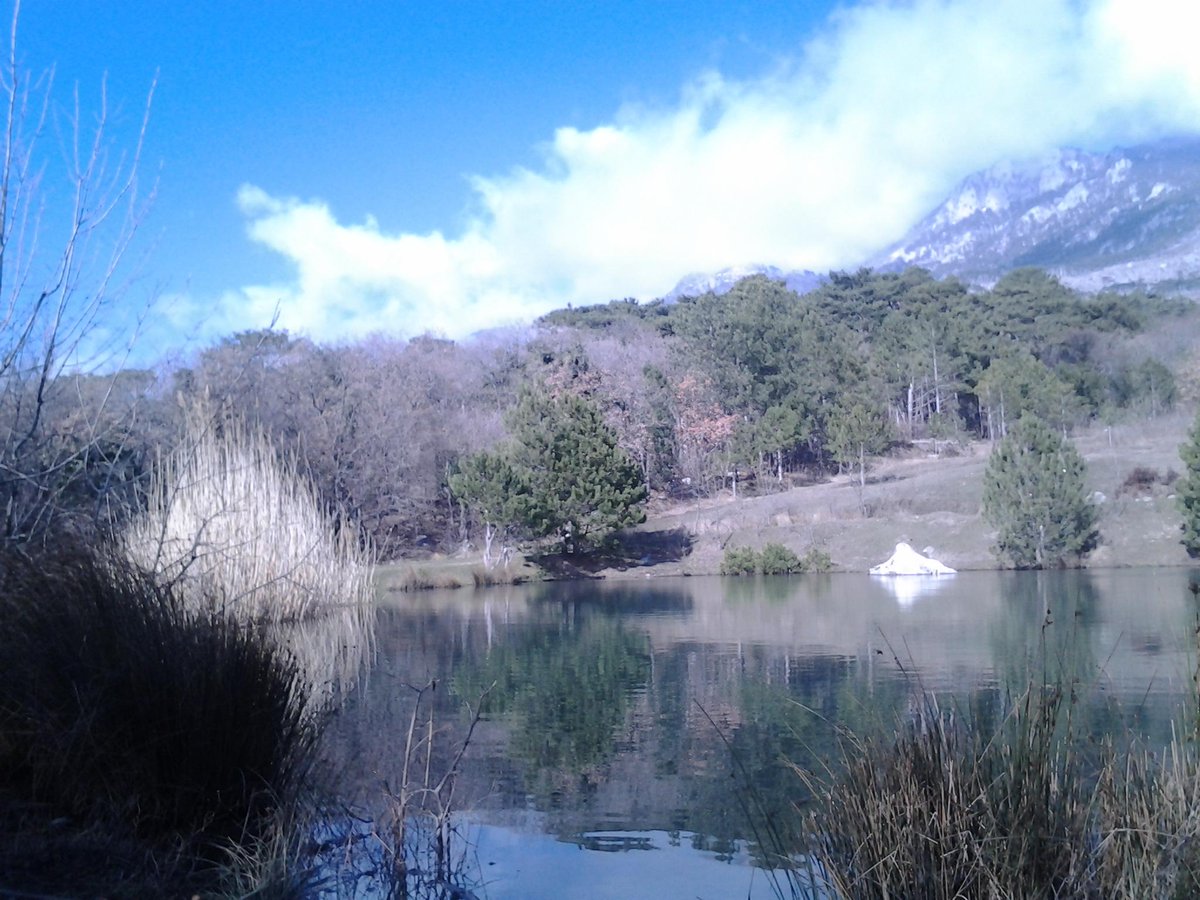 GalinaDimova2's tweet photo. Крым. Предгорье Ай-Петри.Гора "Дива" . http://t.co/NEiyoequCC