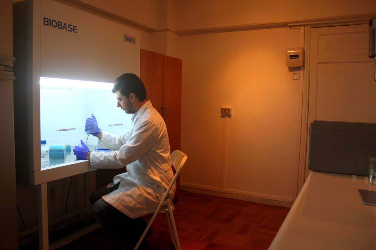 ElLeoNunes's tweet image. gistnetwork-live.com/news/gist-thro… Great feature of @Novalact  in the TBT of the @GISTNetwork @GISTinitiative