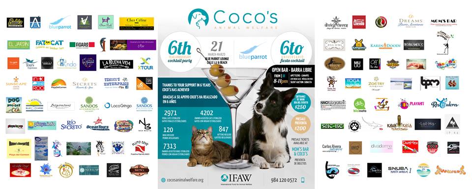 cocosclinic's tweet image. 21 marzo ven al 6to aniversario de #Cocos en @blueparrotplaya, subasta&amp;gt; goo.gl/Xud73o   @BravestRace