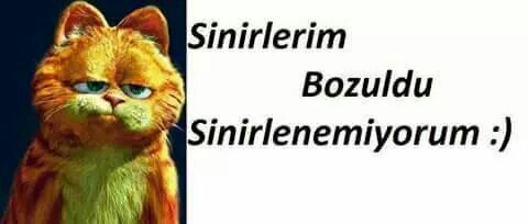 Aynen ya