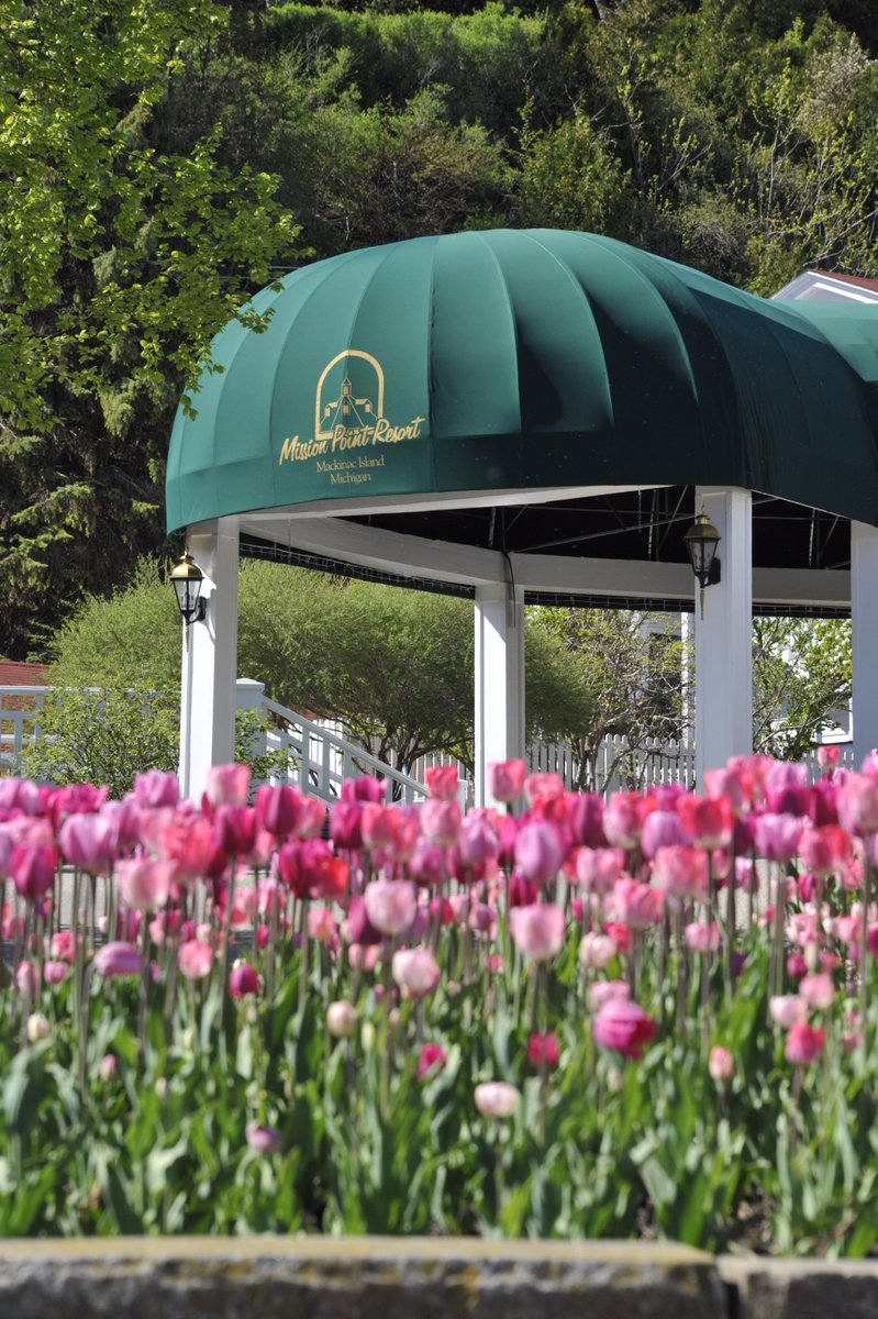 Mission_Point's tweet photo. @NatGeoTravel Mackinac Island, Michigan! #BestSpringTrips #MakeitMackinac http://t.co/tTPmeaumoP