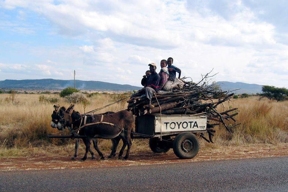 Rubybeets's tweet image. I thought you'd get a kick out of this:) @ToyotaEquipment  #RideIntoSpring