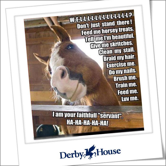 DerbyHouseLtd's tweet photo. Yep very true..... Derby House HQ wouldn't have it any other way would you?
#Equestrian #Horseproblems #Everydaytasks http://t.co/uenDRhrZPy