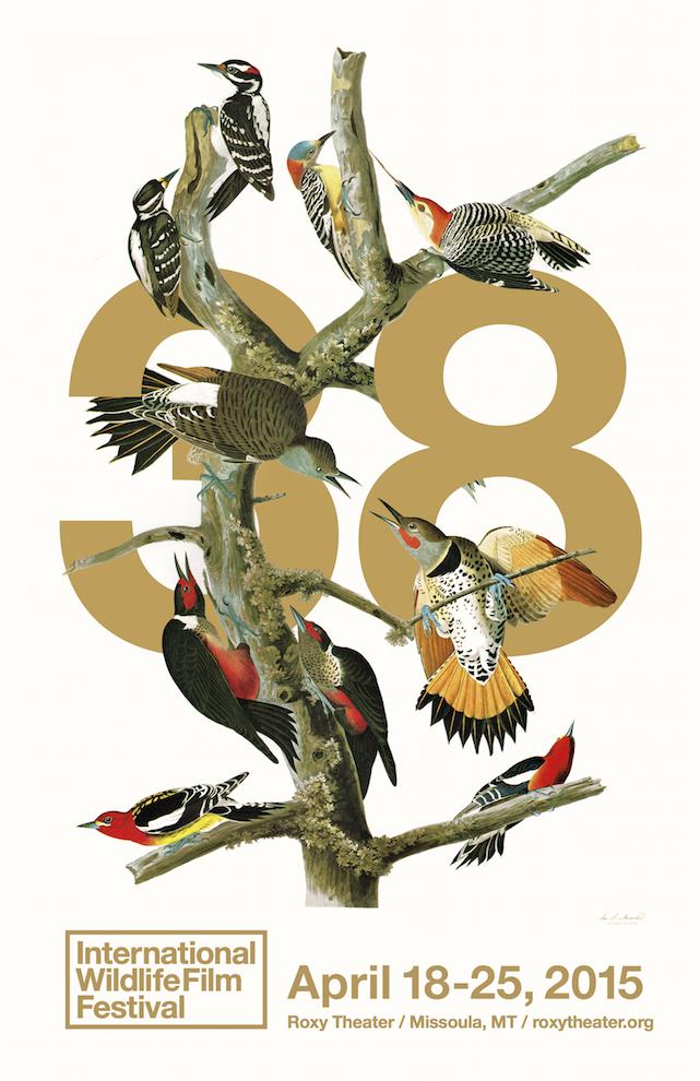 visitmissoula's tweet photo. The 38th Annual International Wildlife Film Festival in Missoula, MT. April 18-25. #OnlyinMissoula #IFWW http://t.co/MGdoZs7dLF