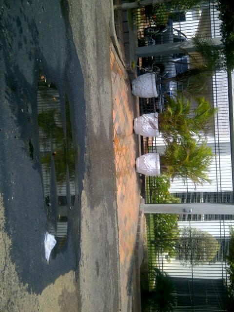 martinezcolina's tweet photo. En urb.la california no tiene ni 2 semanas de asfaltado y este vecino sigue tirando agua a la calle @AlcaldiaDeMcbo http://t.co/BwsJpWXv2D