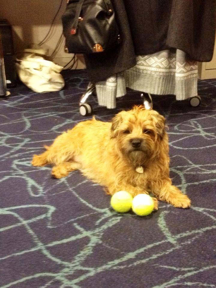 TBCEdinburgh tweet media