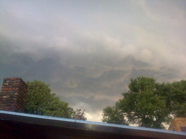 anitazondagh tweet picture