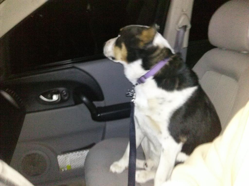 4PawzPrep's tweet photo. http://t.co/ttOdjkkgxC