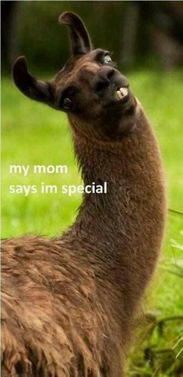 skullmix766's tweet photo. No I know what my mom meant http://t.co/veHi7SzfW8