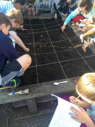 SpringerSpenade's tweet photo. 4th grade geologists on a dig. A little dirt don't hurt!  Especially while learning! http://t.co/TFH9wKyCL8