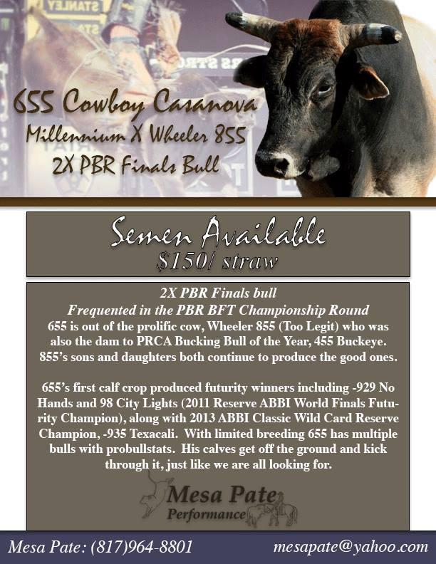 Stored at Champion. Contact me for more info.