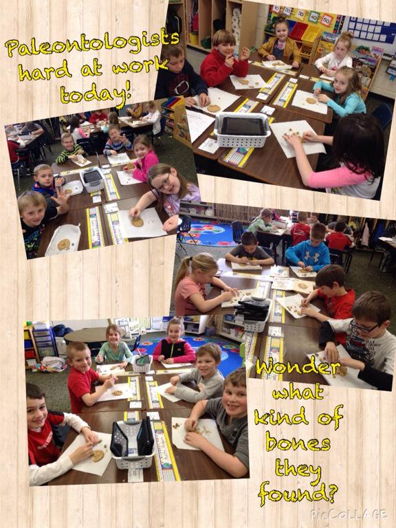 MrsJohnson1st's tweet photo. Paleontologists hard at work today!! Wonder what type of bones they found? #eatingbones http://t.co/flBG0FQDnG