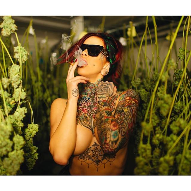 GanjaGirls's tweet photo. . You know it's about that time but first take a close look at my #MadzillaOG Photoshoot that I took recently by @… http://t.co/TTsnfapY6L