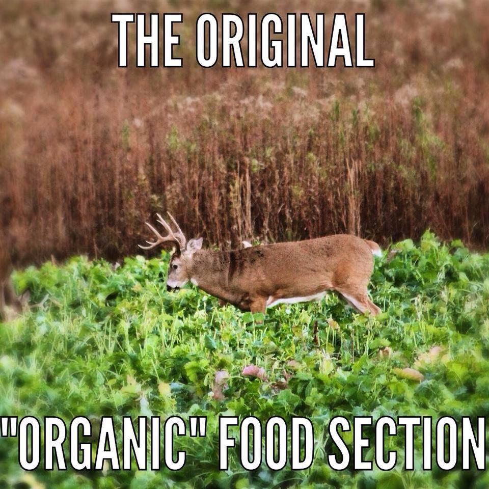 Hunters ate organic way before organic was cool!