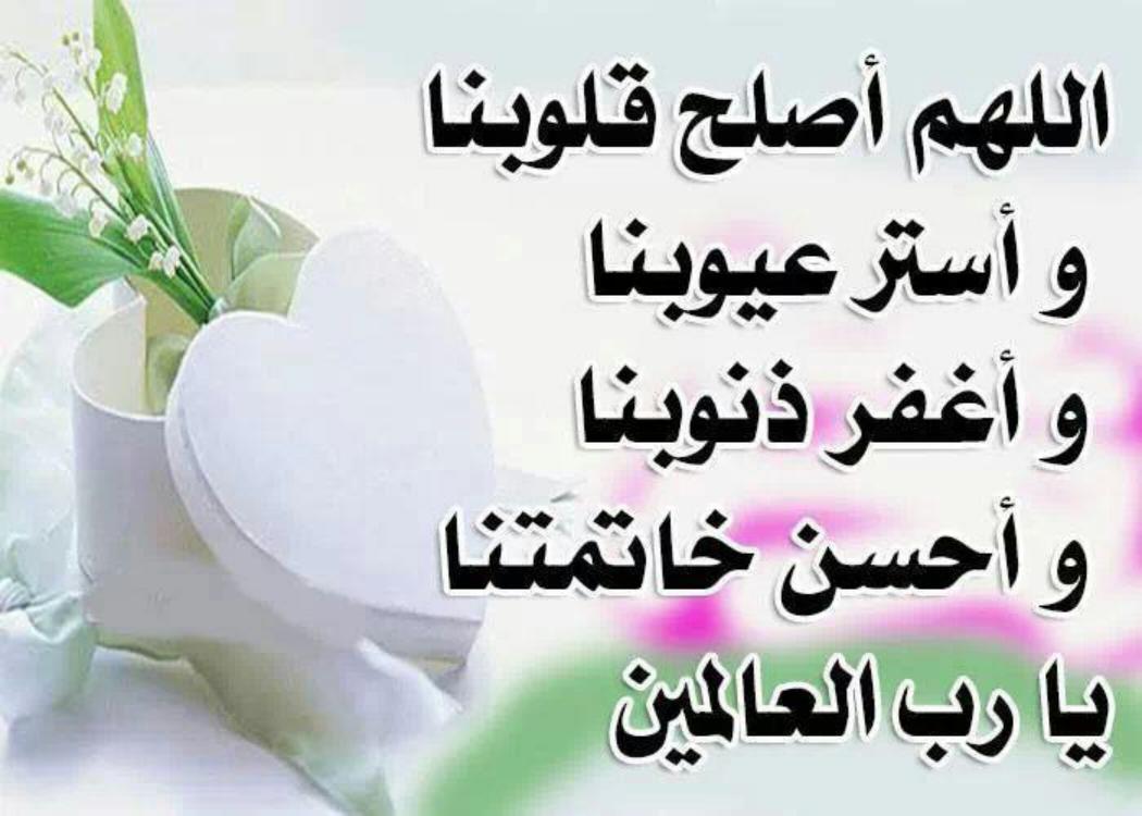 Ammar Habashi (@77280abod) on Twitter photo 