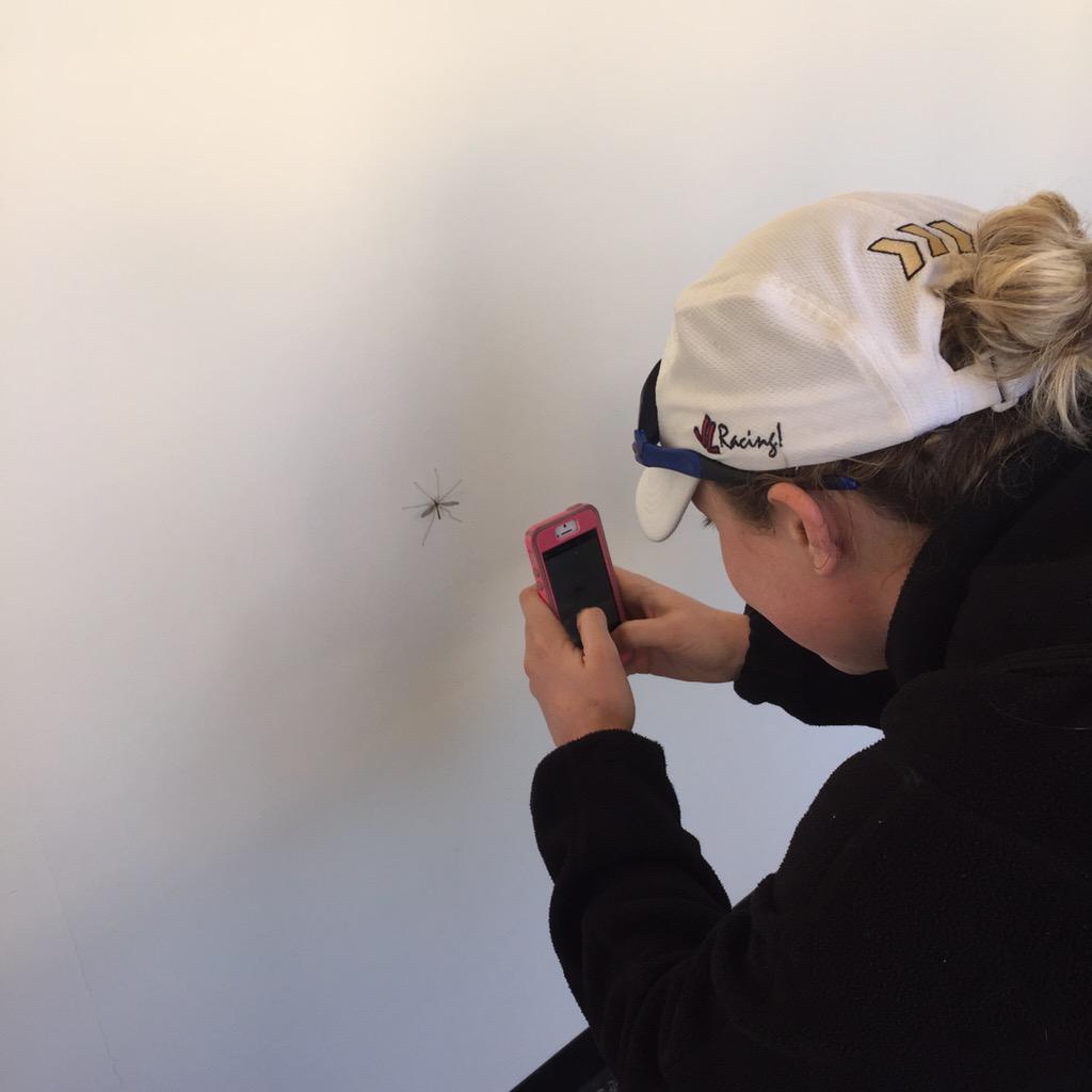 kviii_anderson's tweet photo. @roduffy3 loves her some bugz #insectexplorer 🐞🐜🐝🐛 http://t.co/IfZJNRv3vC