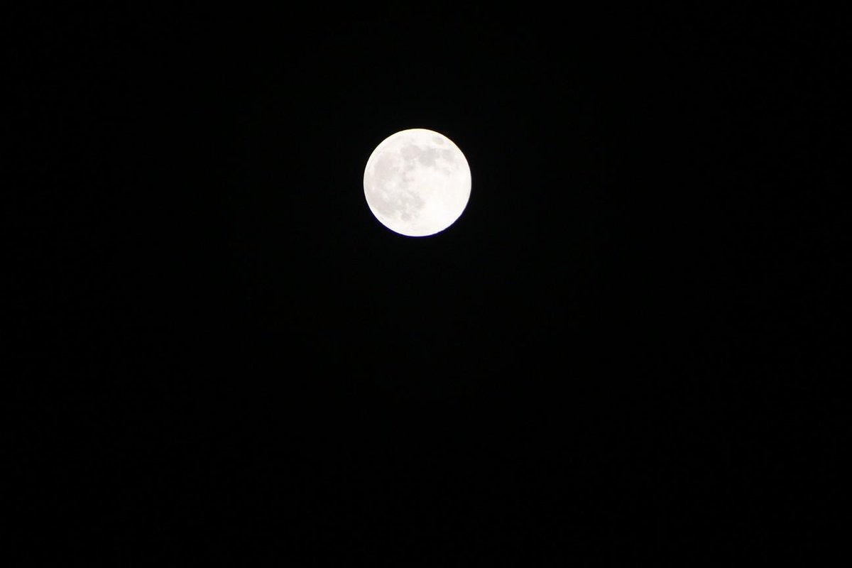 donebunny's tweet photo. OMG THE MOON http://t.co/ayn71ew7Cp