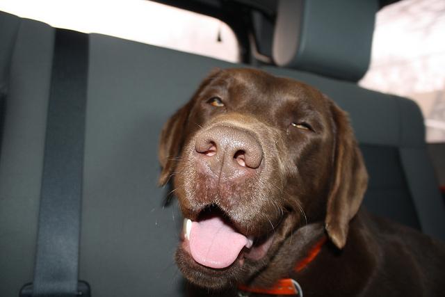 [Image: CAekPH3UUAA9UIC.jpg:large]