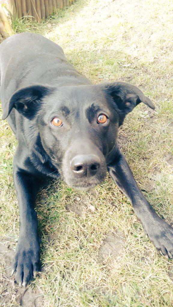 PicsSide's tweet image. 