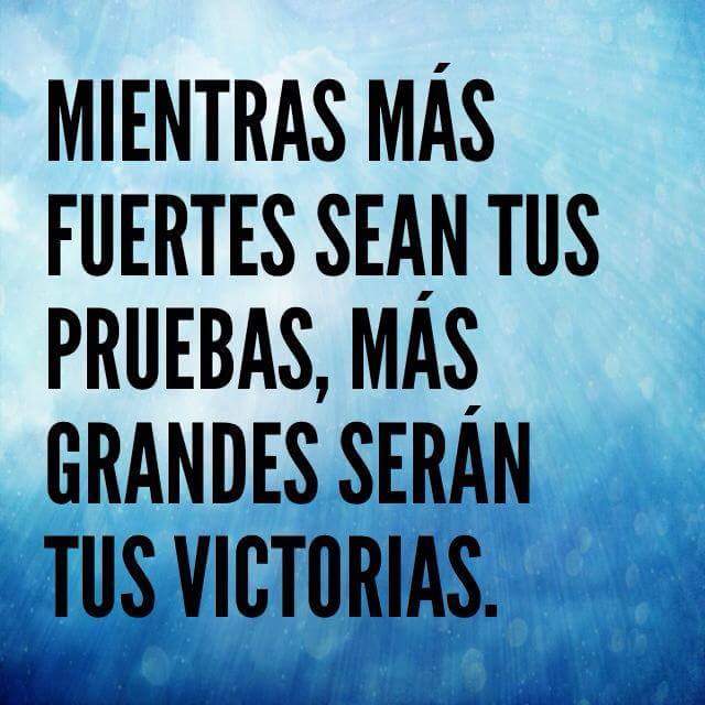 yahacisneros's tweet image. 