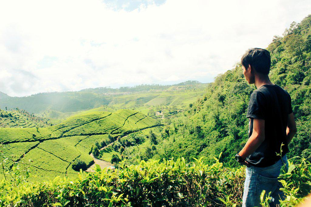 dododwiputra's tweet photo. Rindu kampung halaman http://t.co/3KxrSXjizo