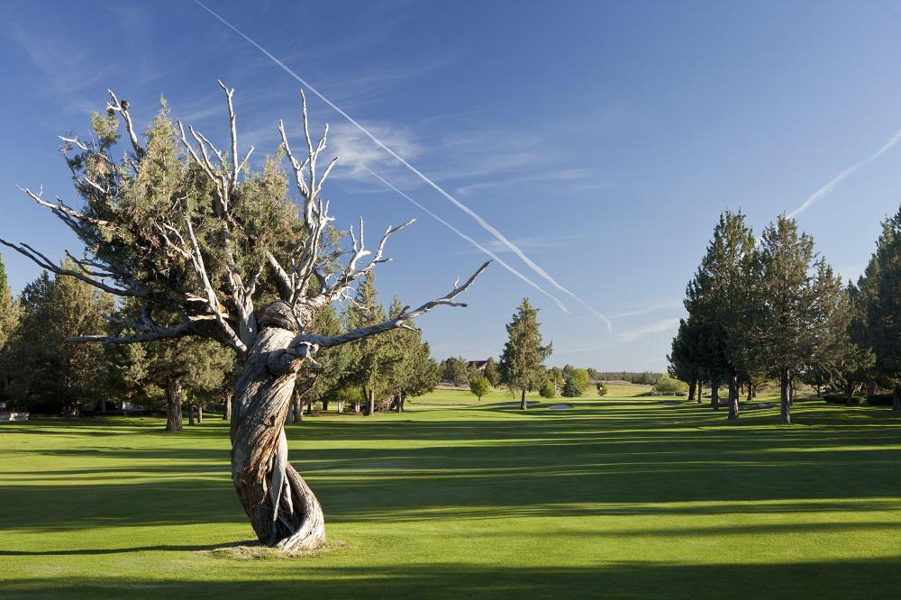 EagleCrestLodge's tweet photo. Ladies, looking to improve your swing? Get Golf Ready Clinic can help. See more: http://t.co/H62FldugGM http://t.co/4gF34QUIeb