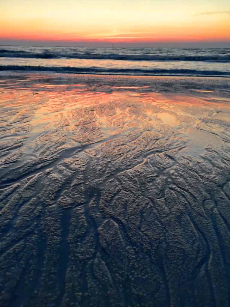 Sylt tweet media