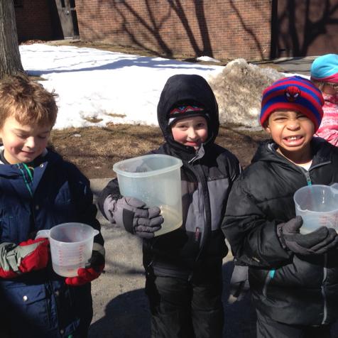 ErinEder1's tweet photo. Collecting sap from our maple tree @ACSRochester #roc #kinderchat #maplesyrup #springiscoming http://t.co/DFFYao596x