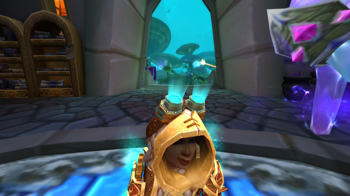 Felsuna2371's tweet image. Mage Ready for Raiding #AlwaysInAction #OPGnome #MagePower