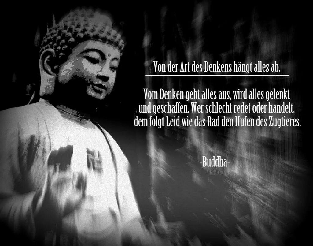 Download Buda lebensweisheiten zum nachdenken Free Buda Lebensweisheiten Zum Nachdenken