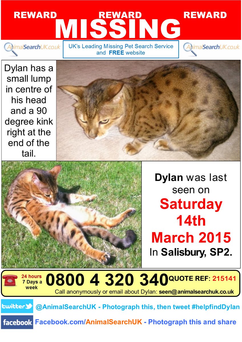 AnimalSearchUK's tweet image. PLZ RT Help reunite this family #helpfindDylan #missingcat #Salisbury #SP2
facebook.com/pages/Animal-S…
@HamptonParkVets