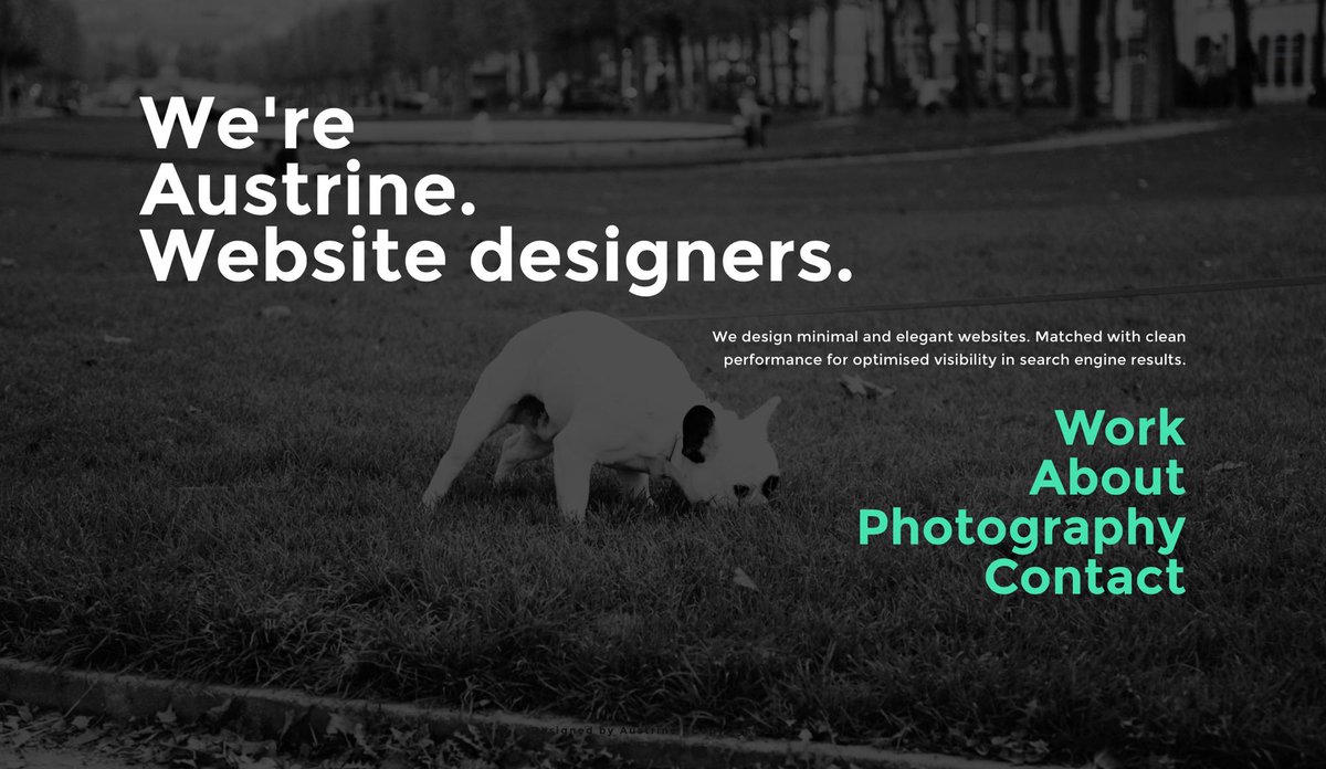 Austrine Team tweet media