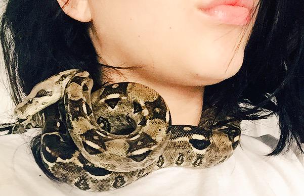 Barbariiiita's tweet photo. Me compre un collar bien bonito para el sábado que es mi cumpleaños 🙊😍 #laamo #mascota #nigui http://t.co/8kBeO59Hdb