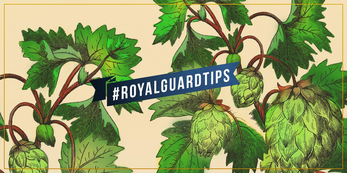 cervezaroyal's tweet photo. #RoyalGuardTips Lúpulo; Ingrediente esencial de la cerveza.Nuestra receta, el equilibrio perfecto entre dos de ellos. http://t.co/sDUaPZHpBv
