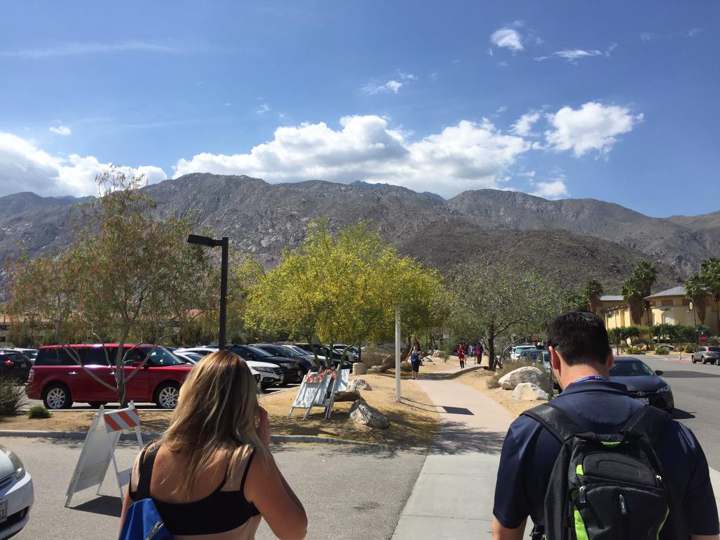 Shane Cline tweet media