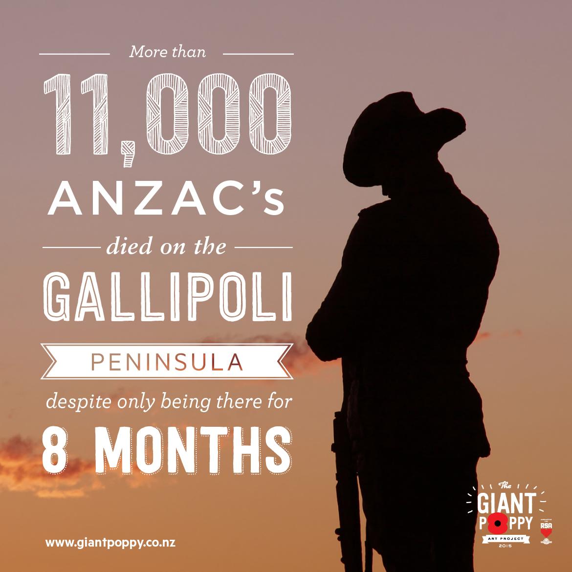 GiantPoppyNZ's tweet photo. GIANT FACT: More than 11,000 ANZAC's died on Gallipoli Peninsula.  We're building the biggest poppy in the world. http://t.co/yd1aKYw8Ty