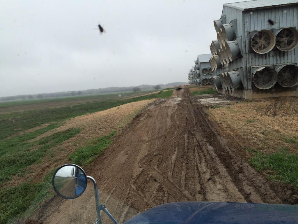 jeff_connell91's tweet photo. A day in the life.... Sittin in a mud hole tryin to get my load on yeehaw http://t.co/hWsahdc7hR