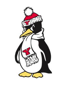 BracketBattles1's tweet image. Greatest College Nickname
•Final Four•

RT ~ North Dakota St. Bison
Fav ~ Youngstown St. Penguins