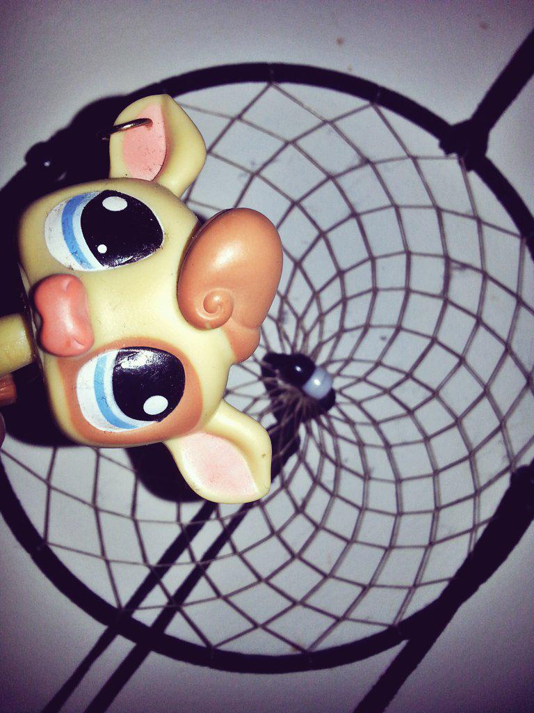 GGG_Lex's tweet image. Keep on Dreamin'!