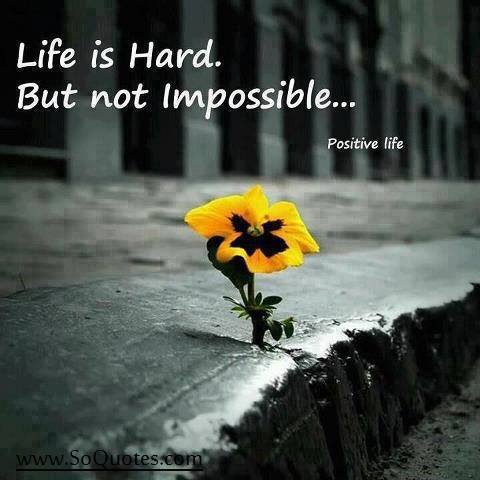 johaCArevalo's tweet photo. http://t.co/lmGy6NPm52